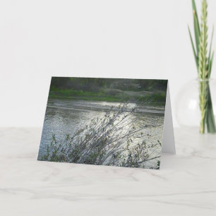 Carte blanche : Salinas River à Paso Robles, 2010
