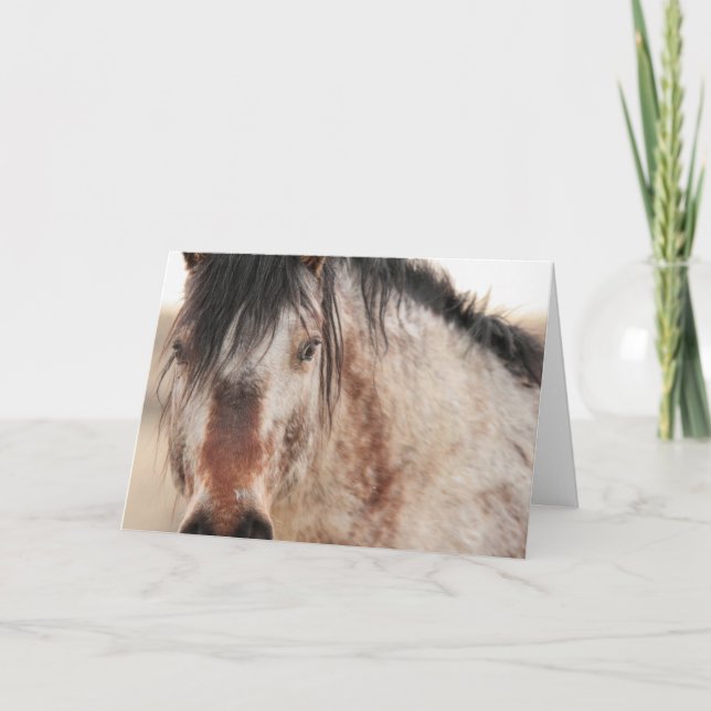 Carte blanche Sir Behr (Devant)