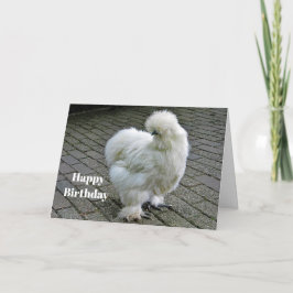 Carte Blancs de poulet Silkie photo Anniversaire