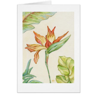 Carte Blank Bird of Paradise