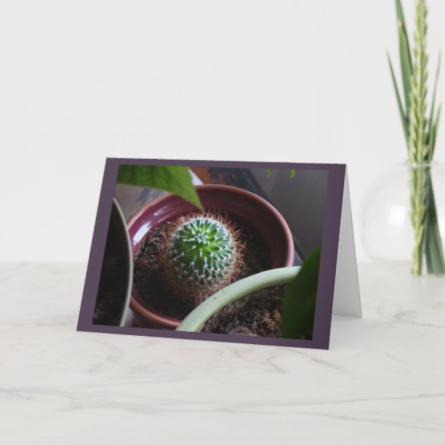 Carte Blank Card (Devant)