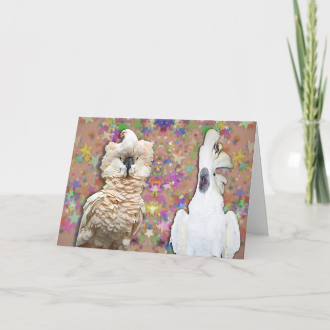 Carte Blank Cockatoo Greeting Card w Moluccan Umbrella (Devant)