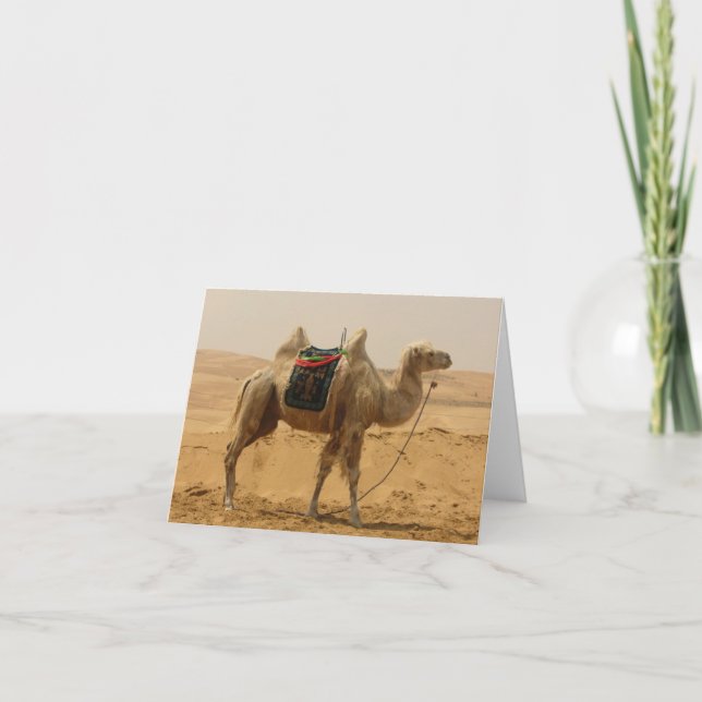 Carte Blank de Camel Désert (Devant)