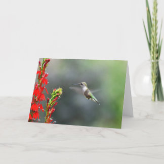 Carte Blank greeting card to brighten someone