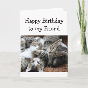 Carte Blank Happy Birthday Friend Pile amusant de Kitten