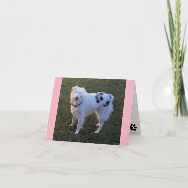Carte Blank Note avec Australian Shepherd (Devant)