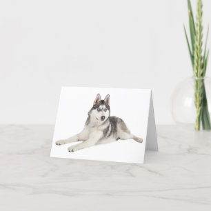 Carte Blank Siberian Husky Puppy Dog Hello Love Miss