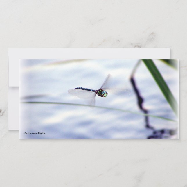 Carte Bleu (Devant)