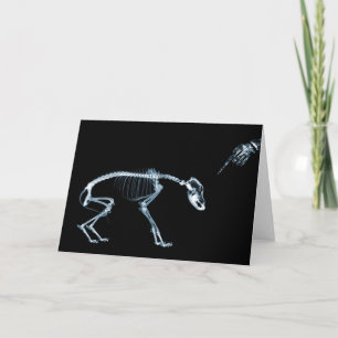 Carte Bleu de chien de squelettes de rayon X mauvais