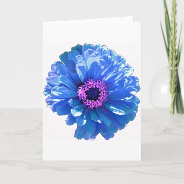 Carte Bleu marguerite bleu photo florale (Devant)