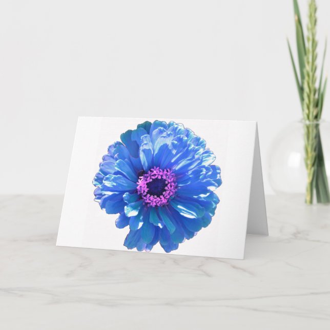 Carte Bleu marguerite bleu photo florale (Devant)