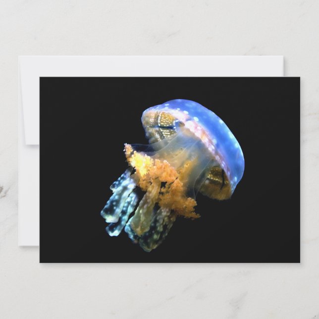 Carte Bleu méduse (Devant)