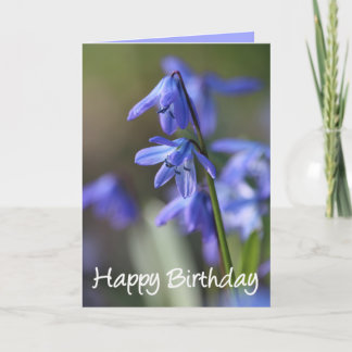 Carte Bleu Scilla siberica (Squill en Bois) Fleurs