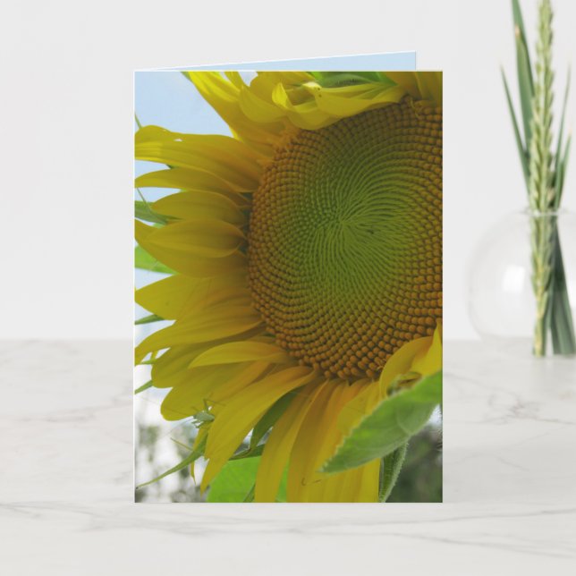 Carte bleue et friendly flower (Devant)