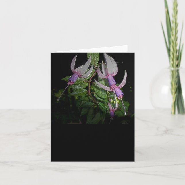 Carte Bleue Fushia Note (Devant)