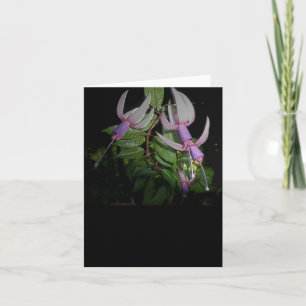 Carte Bleue Fushia Note
