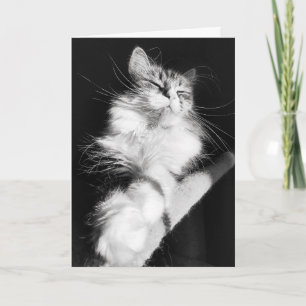 Carte Bliss Anniversaire