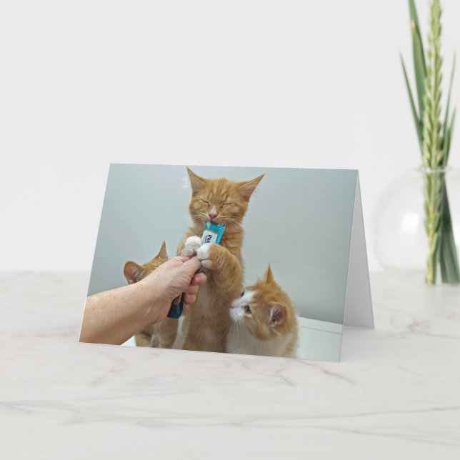 Carte "Bliss" - Huey et son gâteau préféré (Devant)