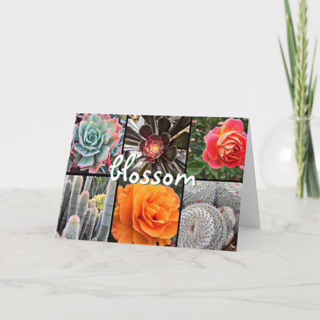 Carte "Blossom" cactus d'été & photo rose vierge à l'int (Devant)