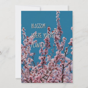 Carte BLOSSOM OÙ PLANTÉ   Encouragement chrétien
