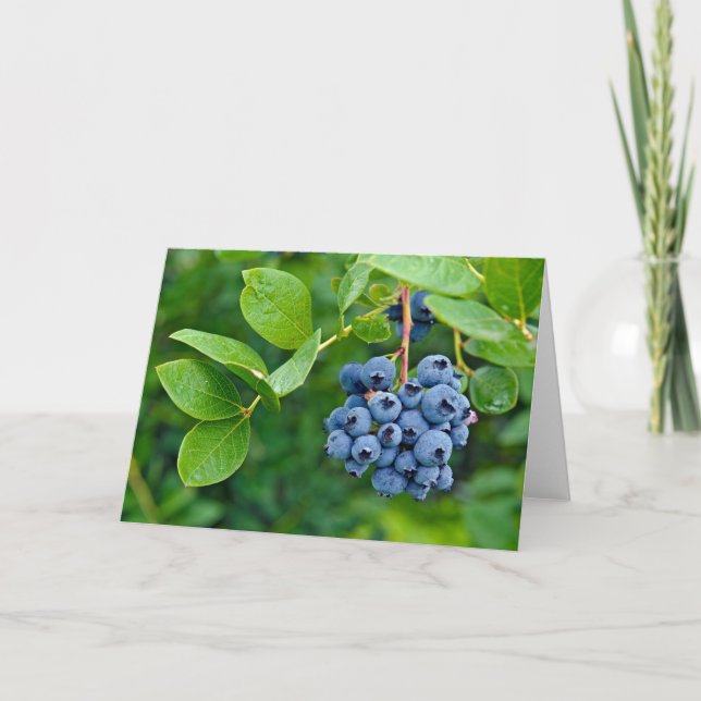 Carte Blueberries (Devant)