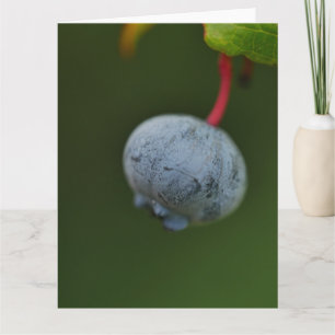 Carte Blueberry