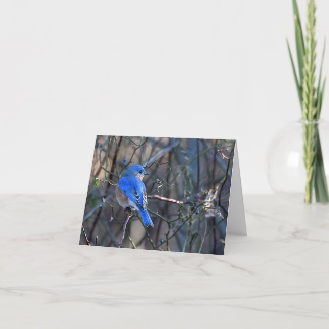 Carte Bluebird of Happiness Grey Card (Devant)