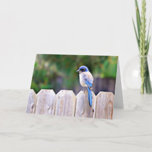 Carte Bluebird On Fence Scripture Card Psaume 91:2