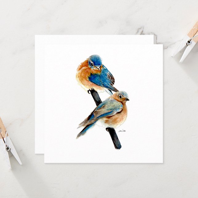 Carte Bluebird Pair belle aquarelle (Bluebird Pair Watercolor from Jenn Steffen Art)