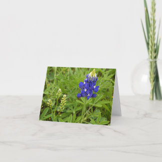 Carte Bluebonnet de Texas