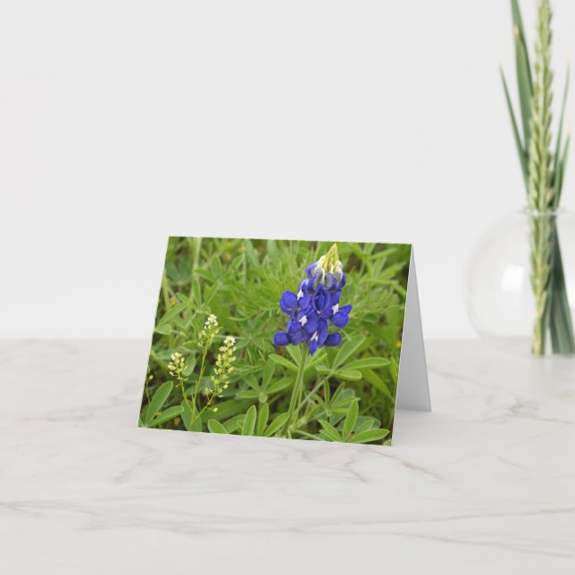 Carte Bluebonnet de Texas (Devant)