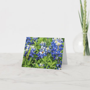 Carte Bluebonnets de Texas