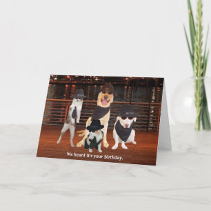 Carte Blues Brothers Chiens & Chats