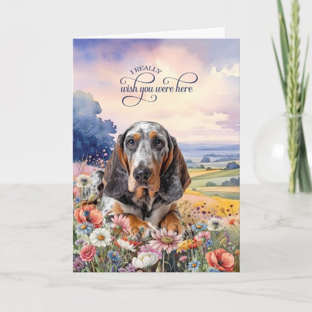Carte Bluetick Coonhound Dog Wildflowers Miss You (Devant)