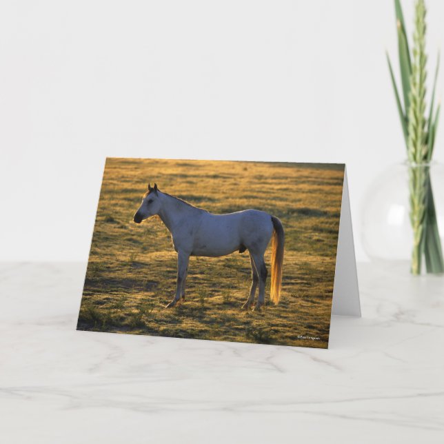 Carte Bob Langrish | Arrière-lit debout (Devant)