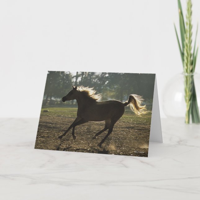 Carte Bob Langrish | Arrière-lit en cours d'exécution (Devant)