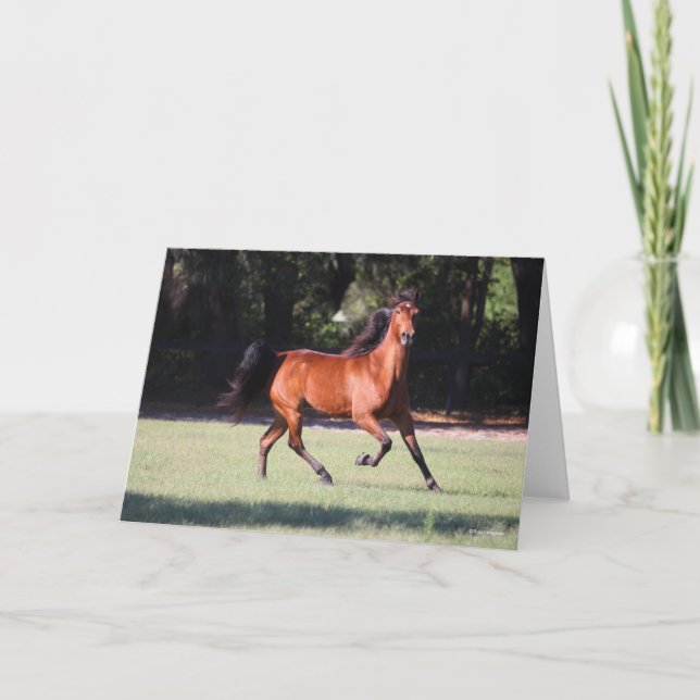 Carte Bob Langrish | Bay Tennessee Walker Running (Devant)