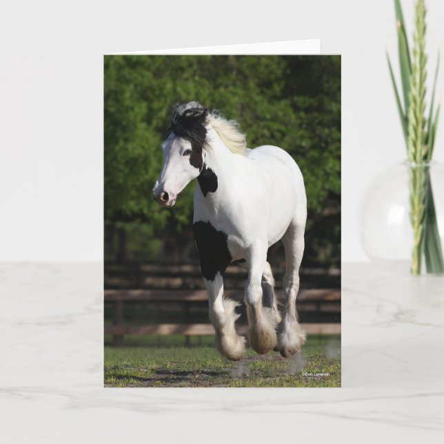 Carte Bob Langrish Black and White Gypsy Vanner Running (Devant)