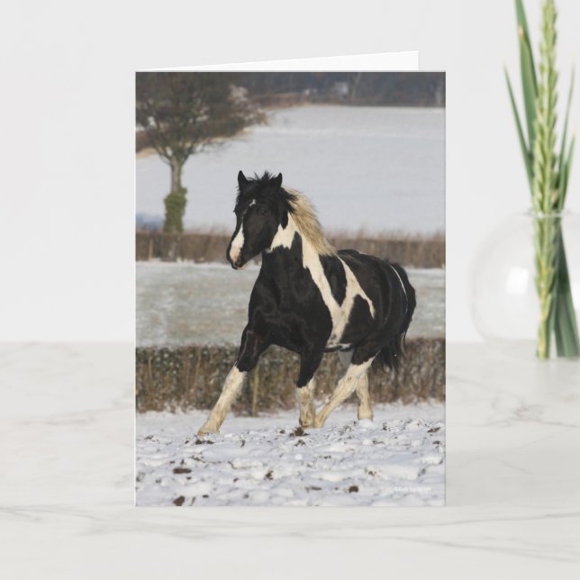 Carte Bob Langrish Black and White Welsh Cob in the Snow (Devant)