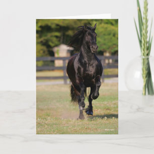 Carte Bob Langrish Black Friesian Mare Running