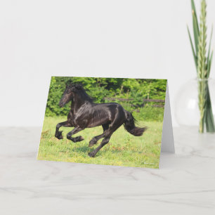 Carte Bob Langrish   Black Friesian Running