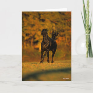 Carte Bob Langrish Black Friesian Running In Autumn