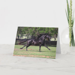 Carte Bob Langrish Black Lusitano Runer Mane Flow