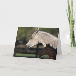 Carte Bob Langrish   Capture d'écran arabe de Mare et Fo