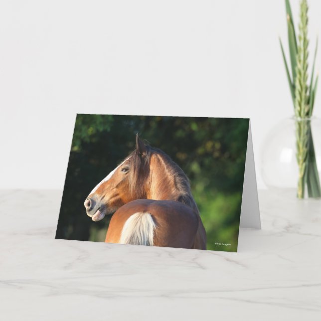 Carte Bob Langrish | Capture d'écran du Cheval Clydesdal (Devant)