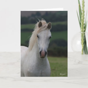 Carte Bob Langrish   Capture d'écran Gris Welsh Pony