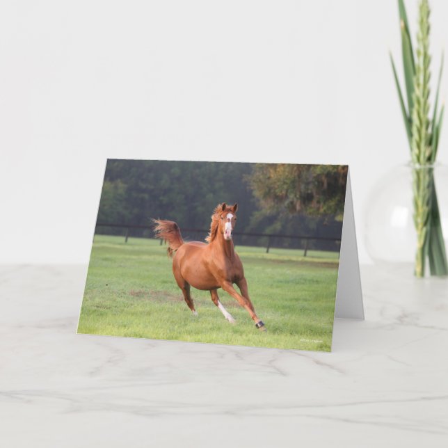 Carte Bob Langrish | Châtaignes Oldenburg Running (Devant)