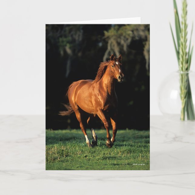 Carte Bob Langrish | Chestnut Warmblood Mare Running (Devant)