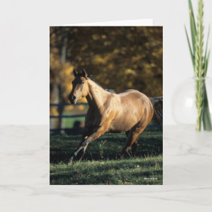 Carte Bob Langrish   Cheval Dun Quarter Courir