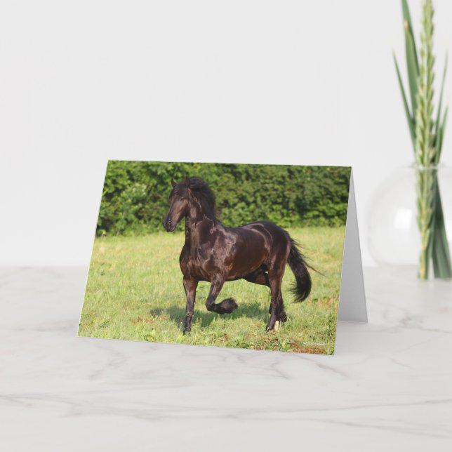 Carte Bob Langrish | Cheval friésien Noir Courir (Devant)